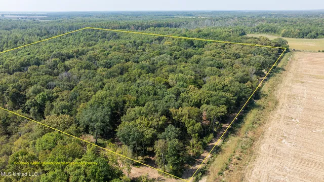 $4,500,000 | 1912 Poplar Springs Road, Mendenhall, MS 39114