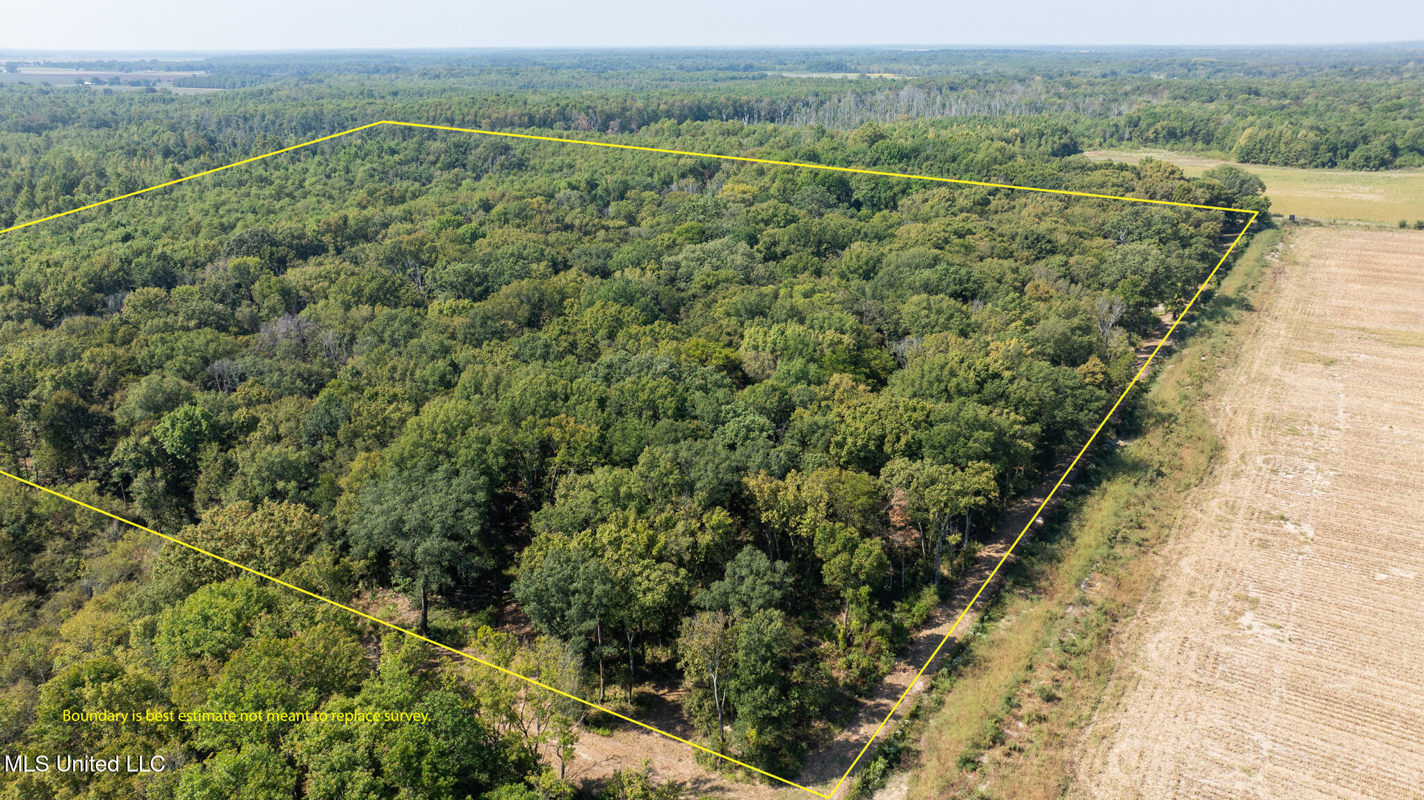 1912 Poplar Springs Road Mendenhall, MS 39114 - Photo 84 of 89 MLS Tallahatchie 847 -84