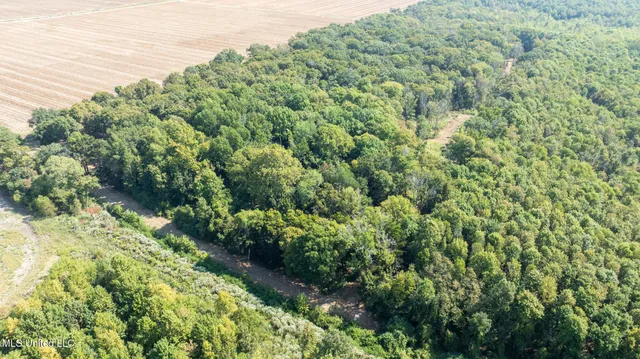 $4,500,000 | 1912 Poplar Springs Road, Mendenhall, MS 39114