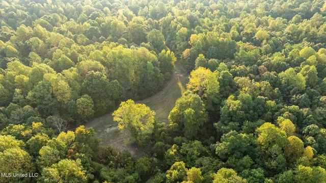 $4,500,000 | 1912 Poplar Springs Road, Mendenhall, MS 39114