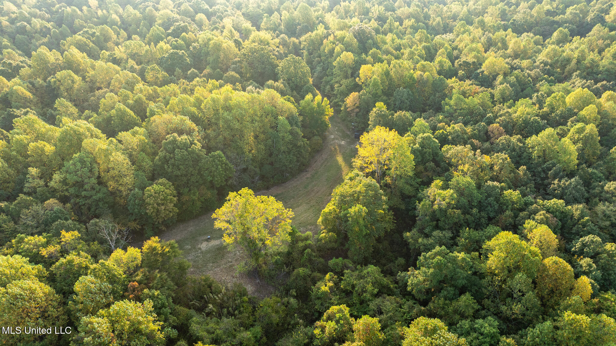 1912 Poplar Springs Road Mendenhall, MS 39114 - Photo 86 of 89 MLS Tallahatchie 847 -85