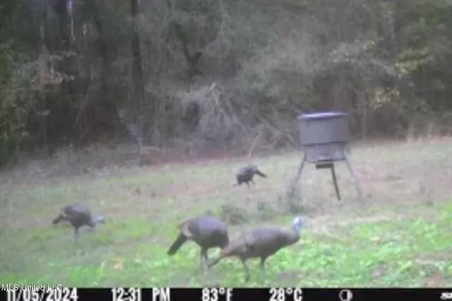 $4,500,000 | 1912 Poplar Springs Road, Mendenhall, MS 39114