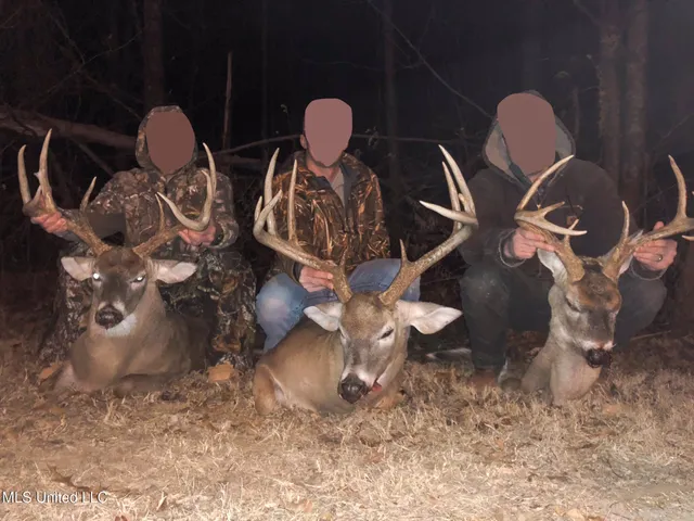 $4,500,000 | 1912 Poplar Springs Road, Mendenhall, MS 39114