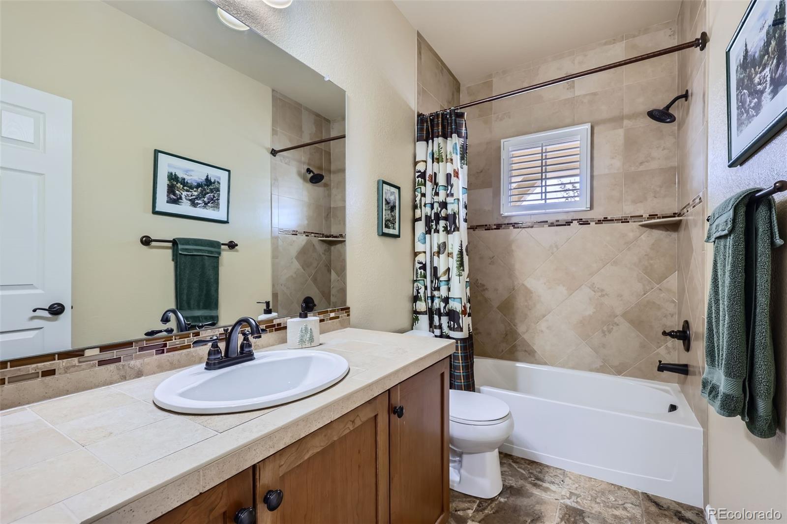 2872 Dreamcatcher Loop Castle Rock, CO 80109 - Photo 27 of 42 a bathroom with a sink a toilet and a bathtub