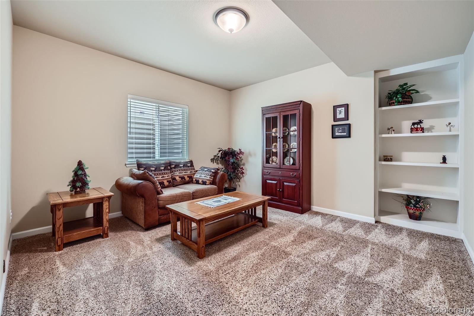 2872 Dreamcatcher Loop Castle Rock, CO 80109 - Photo 28 of 42 a living room with furniture and a window