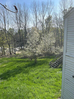 15 River Road Phillips, ME 04966 - Photo 30 of 52 IMG_3294