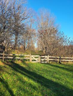 15 River Road Phillips, ME 04966 - Photo 43 of 52 IMG_3307