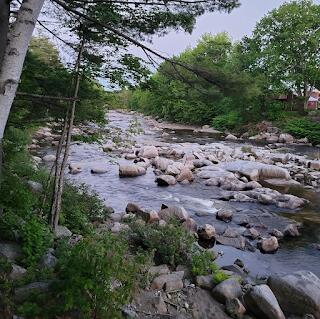 15 River Road Phillips, ME 04966 - Photo 45 of 52 IMG_3309