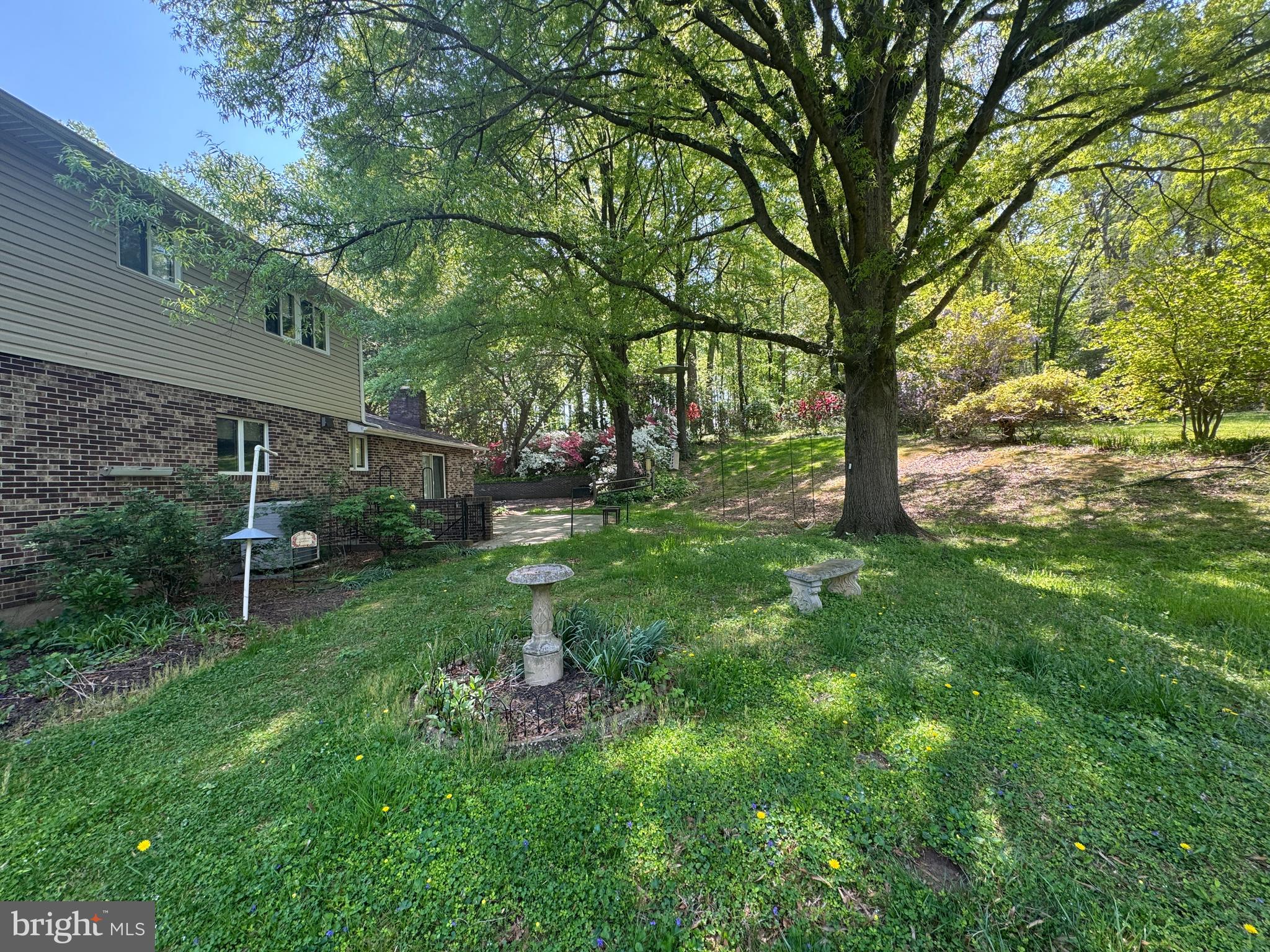 6008 Fork Woods Road Baldwin, MD 21013 - Photo 6 of 12 a backyard of a house with plants and large tree