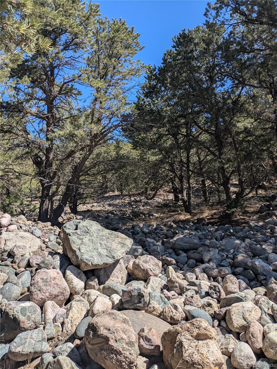 2202 Spanish Creek Road Crestone, CO 81131 - Photo 4 of 14 a view of a yard with a tree