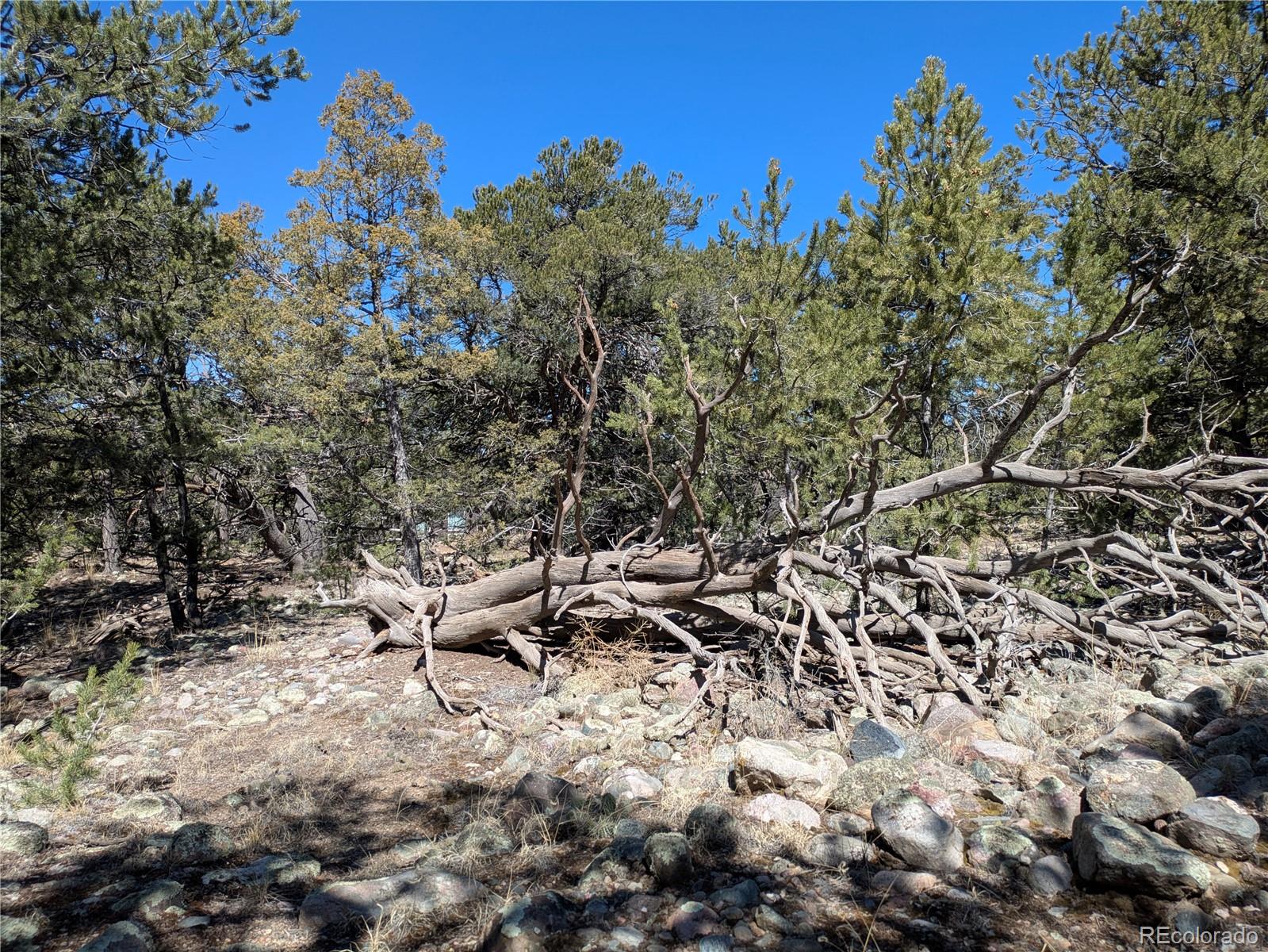2202 Spanish Creek Road Crestone, CO 81131 - Photo 6 of 14 a view of a backyard of a house with table and chairs