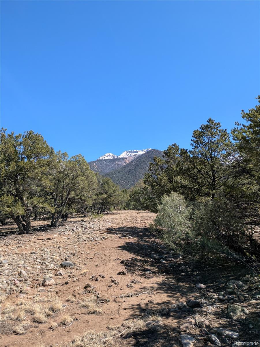 2202 Spanish Creek Road Crestone, CO 81131 - Photo 10 of 14 a view of mountain view with mountain