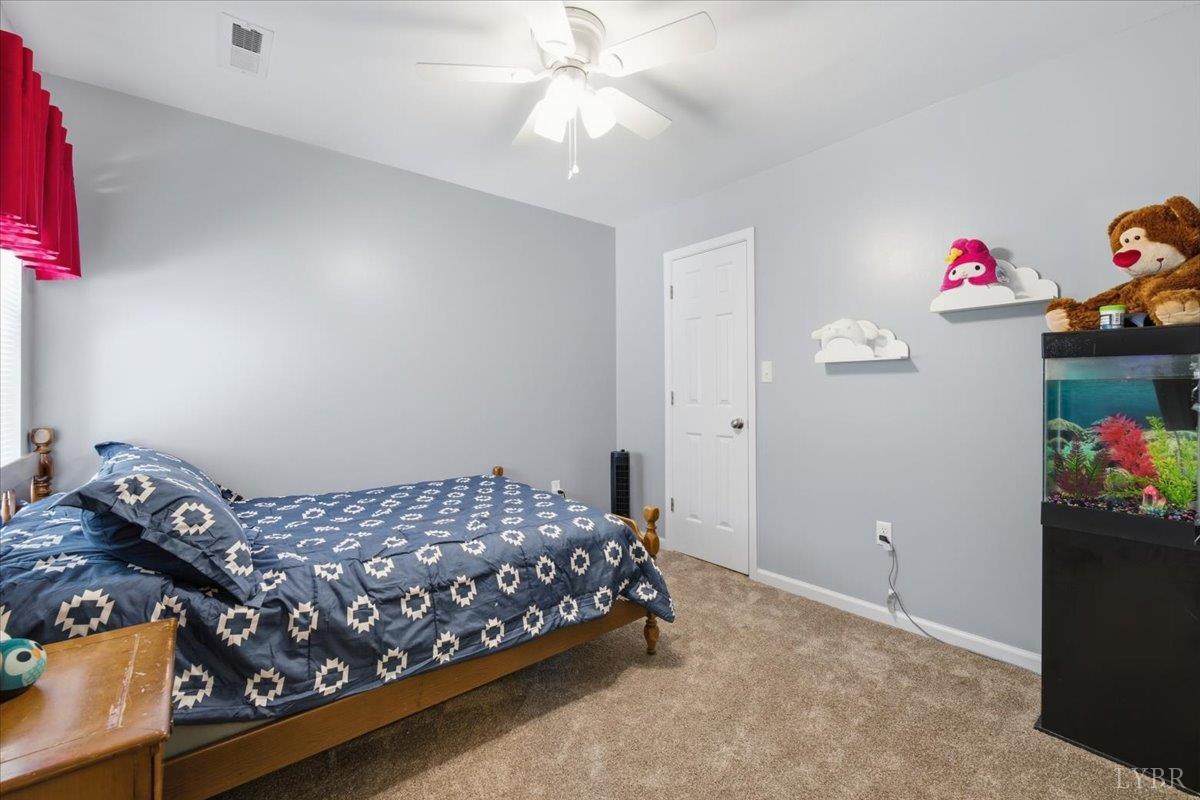 12376 Leesville Road Lynch Station, VA 24571 - Photo 19 of 38