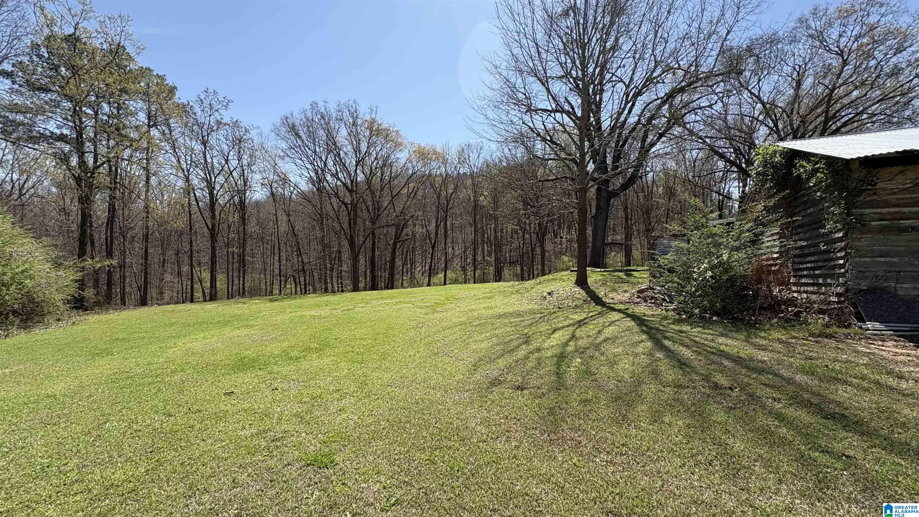 90 Fulton Gap Road Sylacauga, AL 35150 - Photo 19 of 23 Gallery Image 19