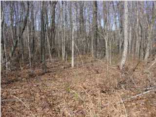 1795 Ledford Road Soddy Daisy, TN 37379 - Photo 1 of 1 Primary Photo
