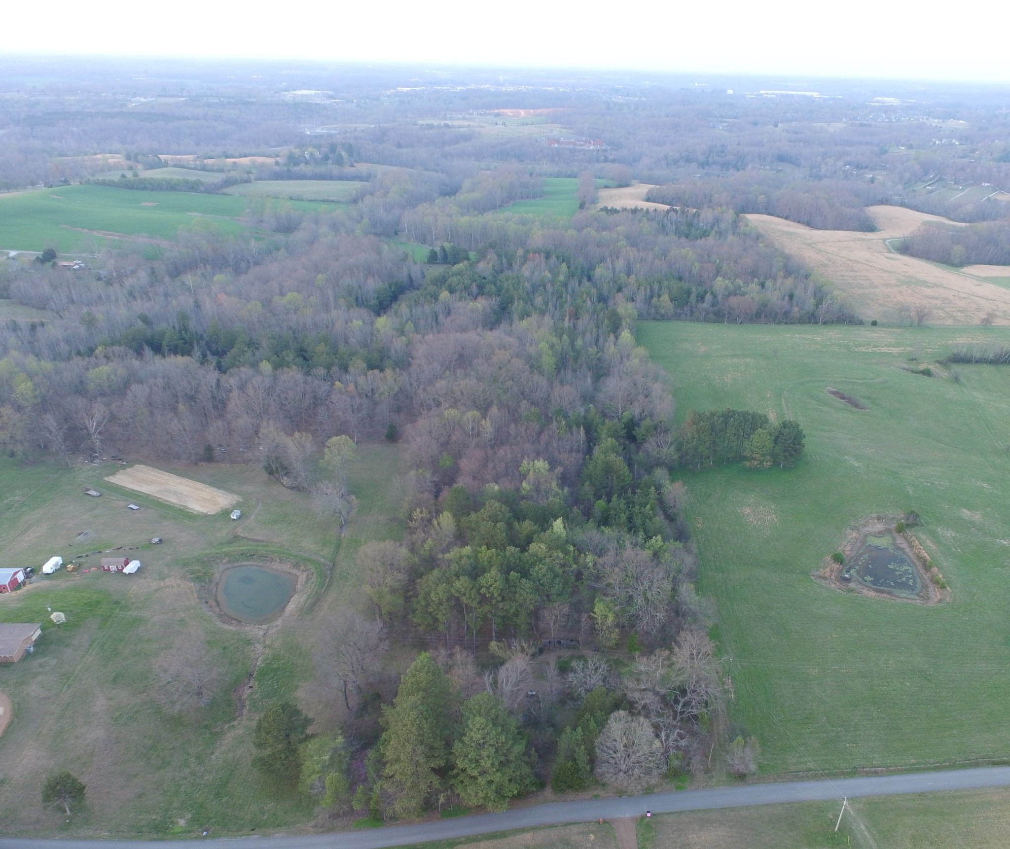 4856 Palestine Road Springfield, TN 37172 - Photo 11 of 14