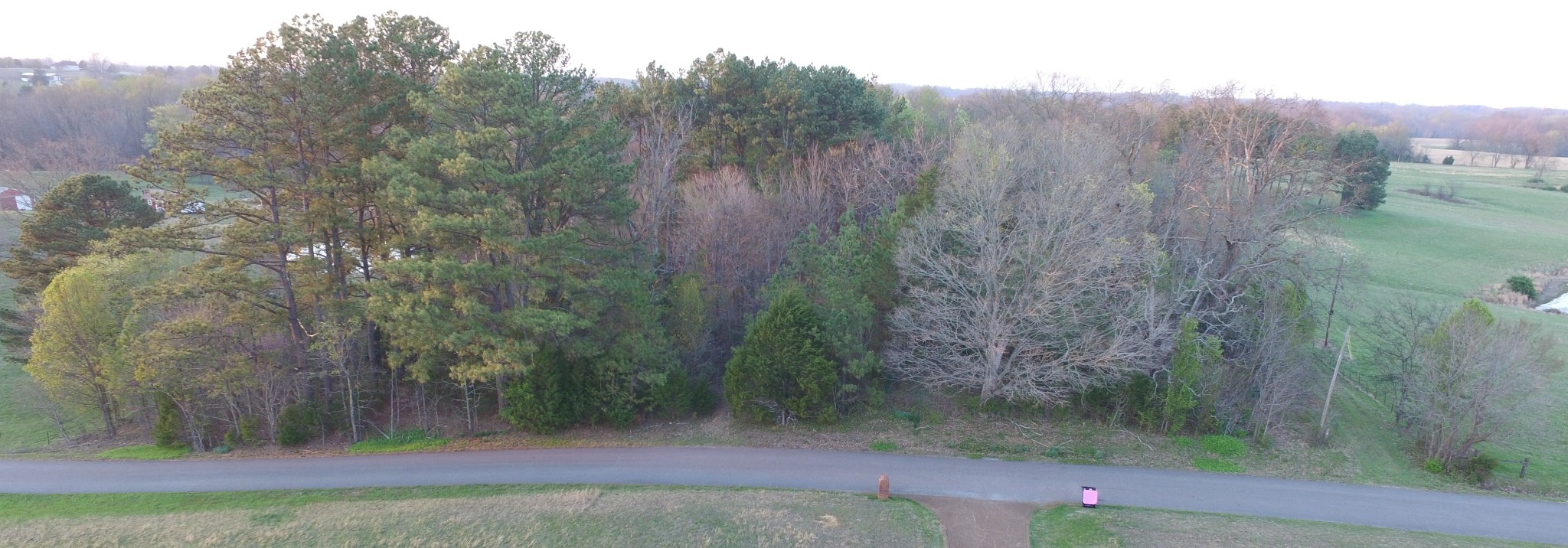 4856 Palestine Road Springfield, TN 37172 - Photo 3 of 14