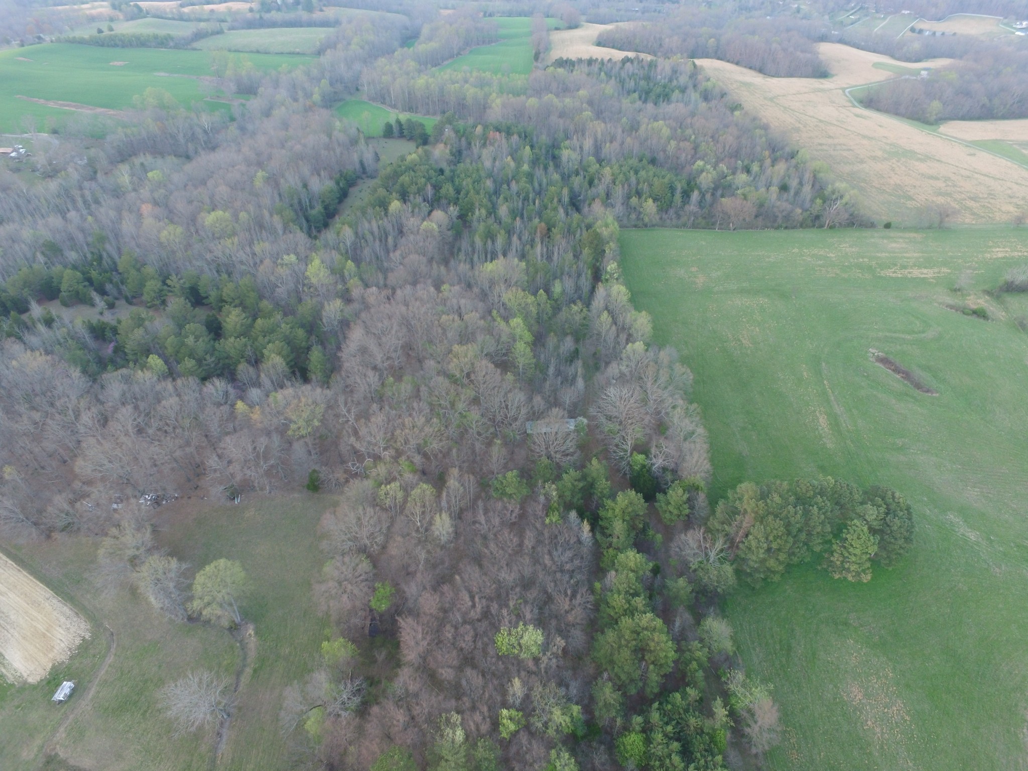 4856 Palestine Road Springfield, TN 37172 - Photo 5 of 14