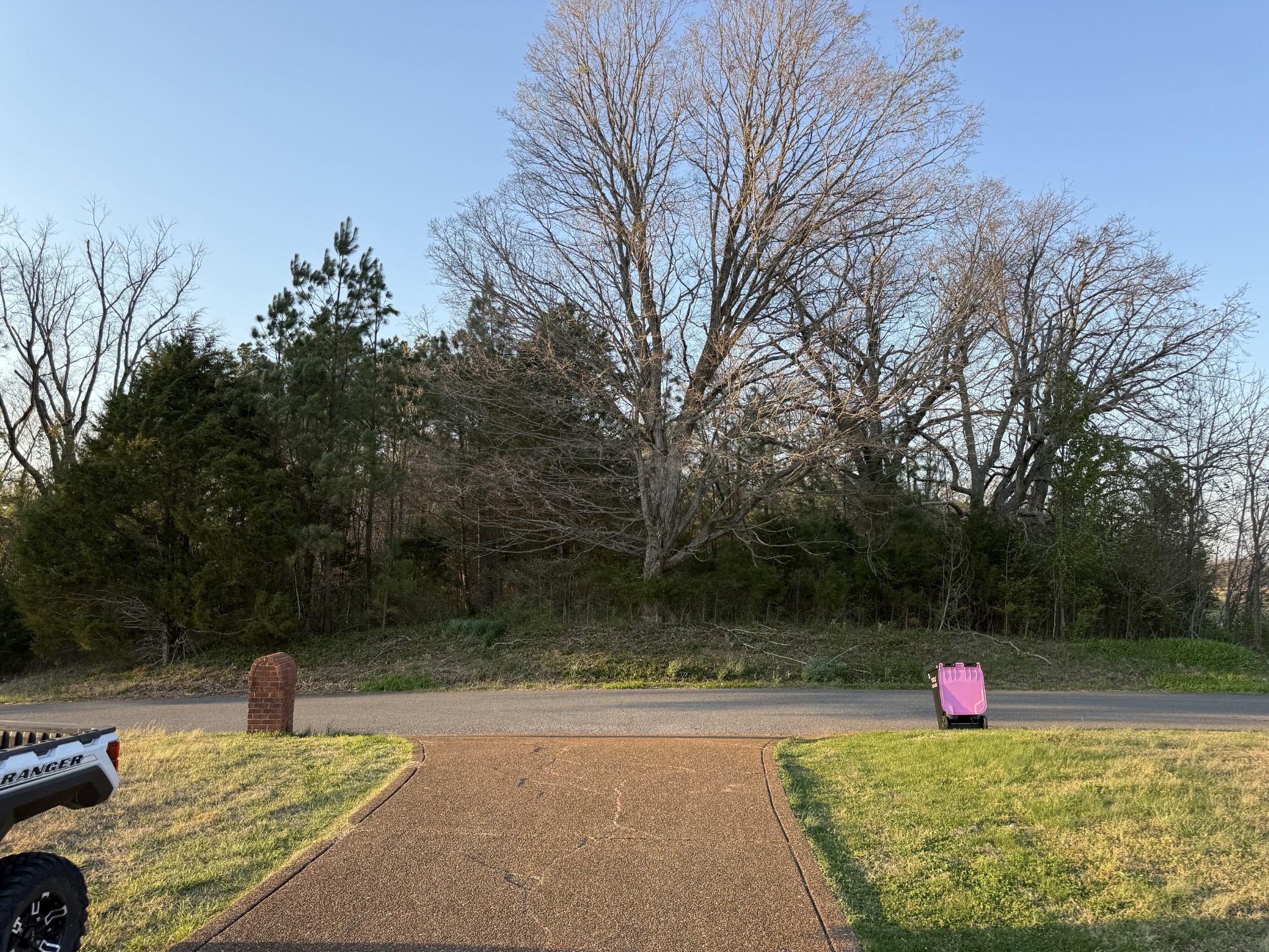 4856 Palestine Road Springfield, TN 37172 - Photo 8 of 14