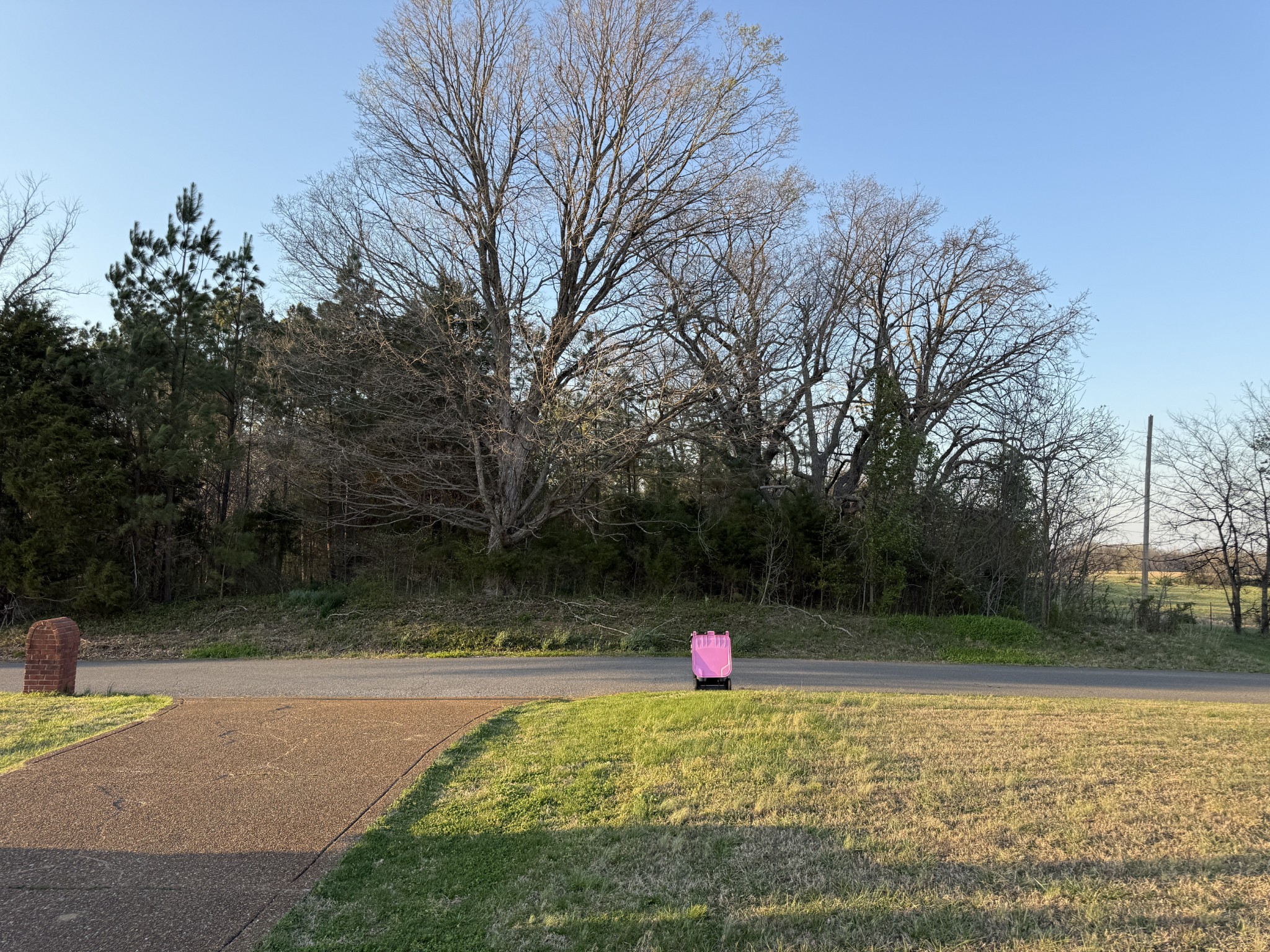 4856 Palestine Road Springfield, TN 37172 - Photo 10 of 14