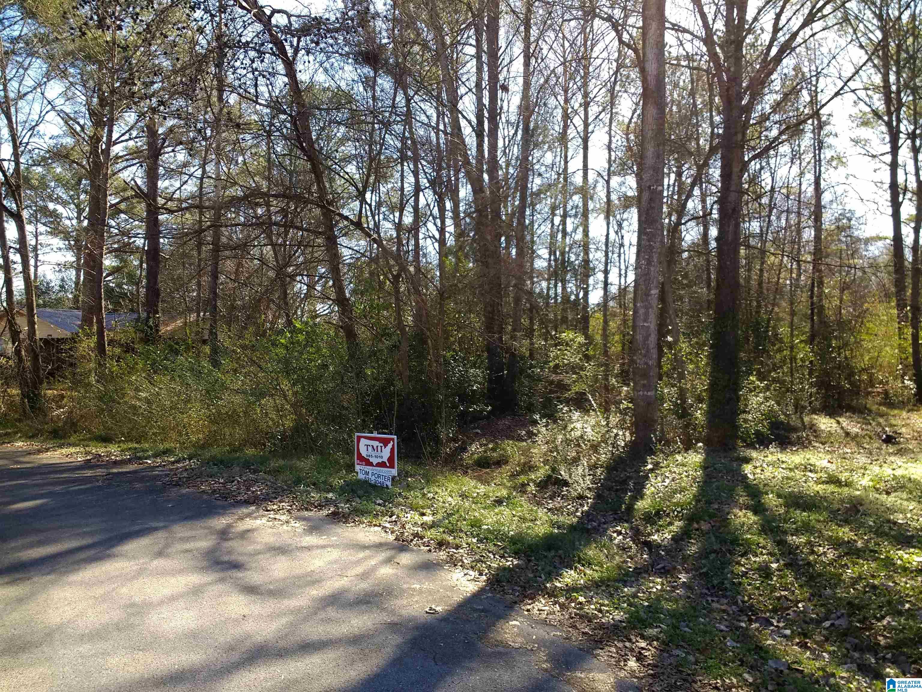 Lot 2 Deborah Drive, Unit 2 Jemison, AL 35085 - Photo 4 of 15