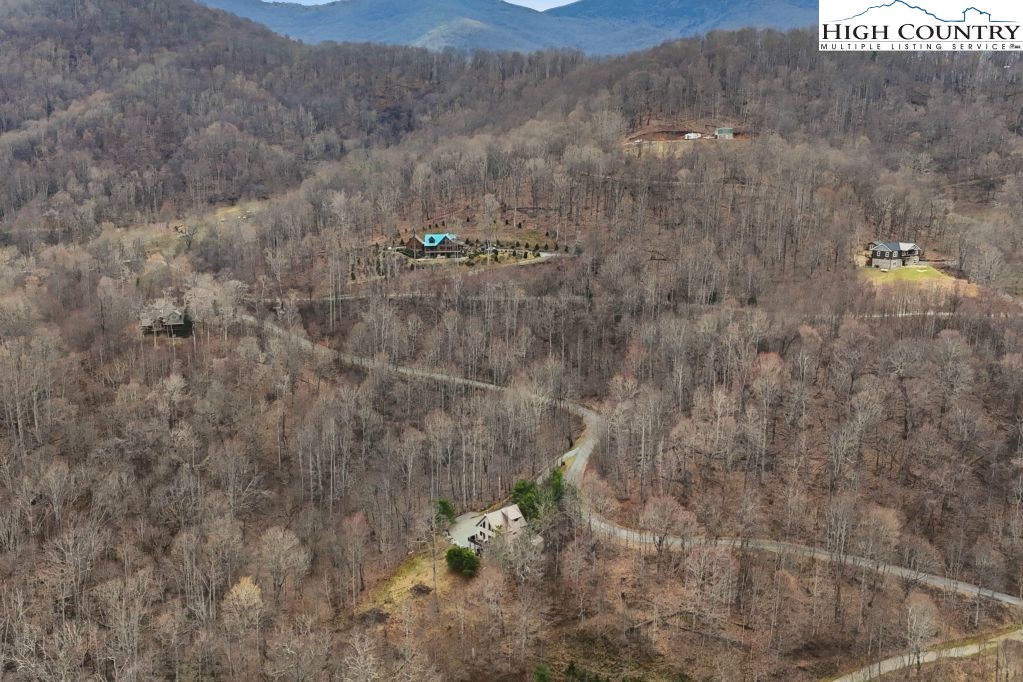 408 Eagle Ridge Road Roan Mountain, TN 37687 - Photo 41 of 45 a aerial view of a house