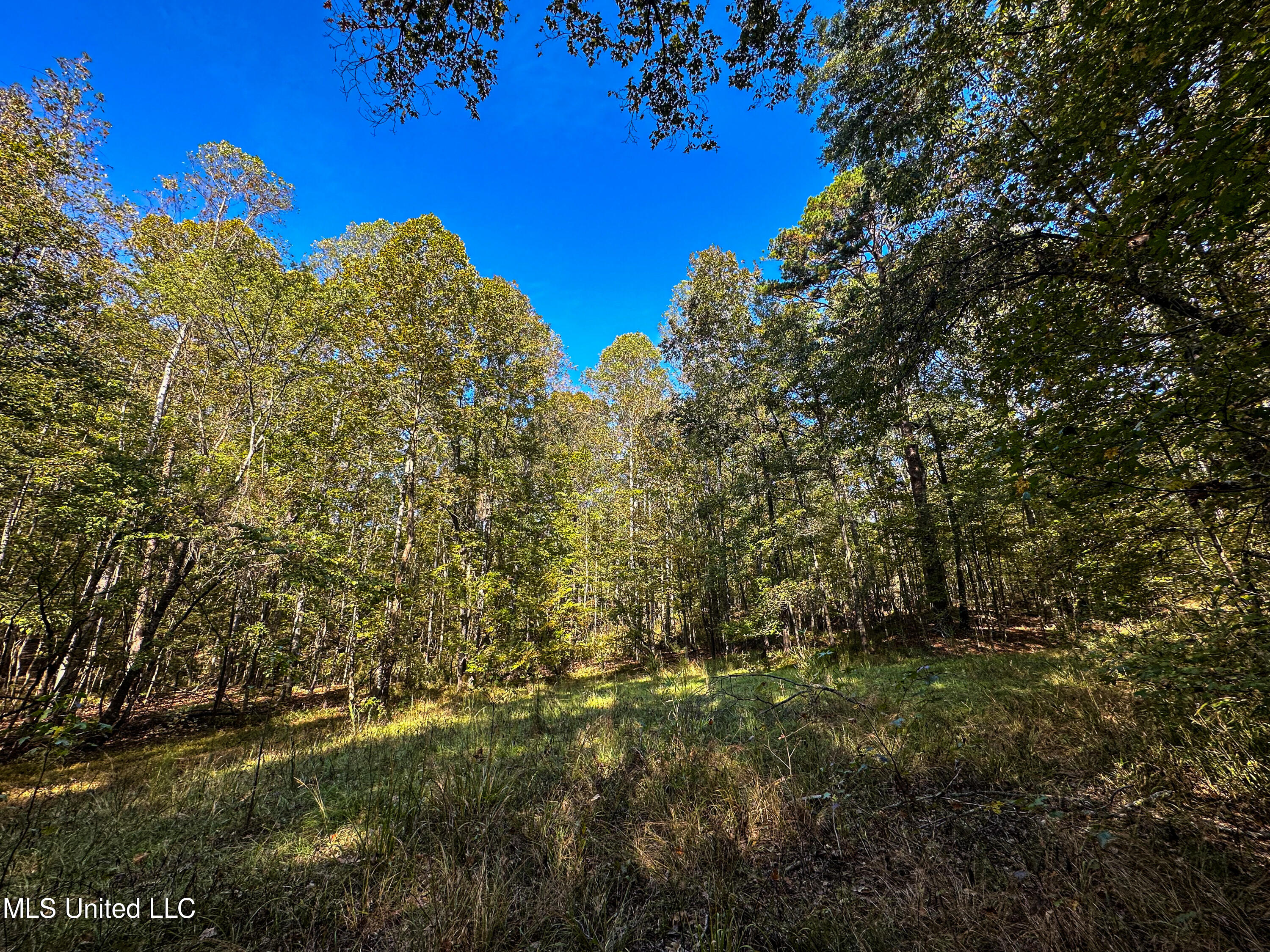 8400 Anderson Road Bolton, MS 39041 - Photo 54 of 64 IMG_4715
