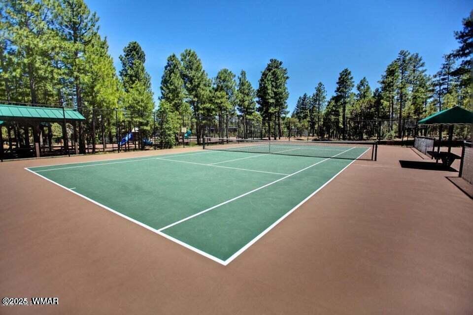 1260 South Falling Leaf Road Show Low, AZ 85901 - Photo 90 of 102 Tennis and Pickleball