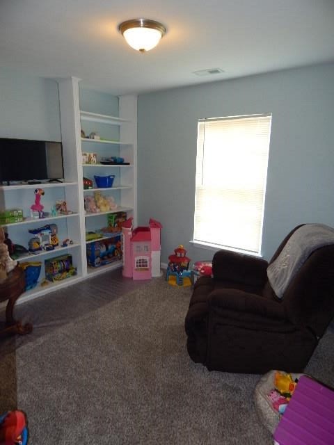 263 Bethany Court Inman, SC 29349 - Photo 18 of 36
