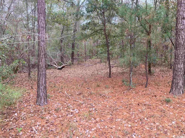 $147,000 | Tbd South Persimmon Ford Road, Johnsonville, SC 29555