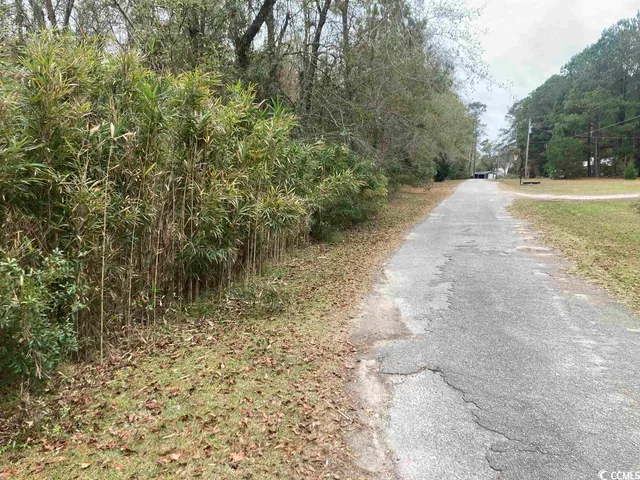 $147,000 | Tbd South Persimmon Ford Road, Johnsonville, SC 29555