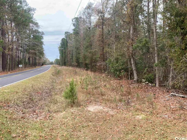 $147,000 | Tbd South Persimmon Ford Road, Johnsonville, SC 29555