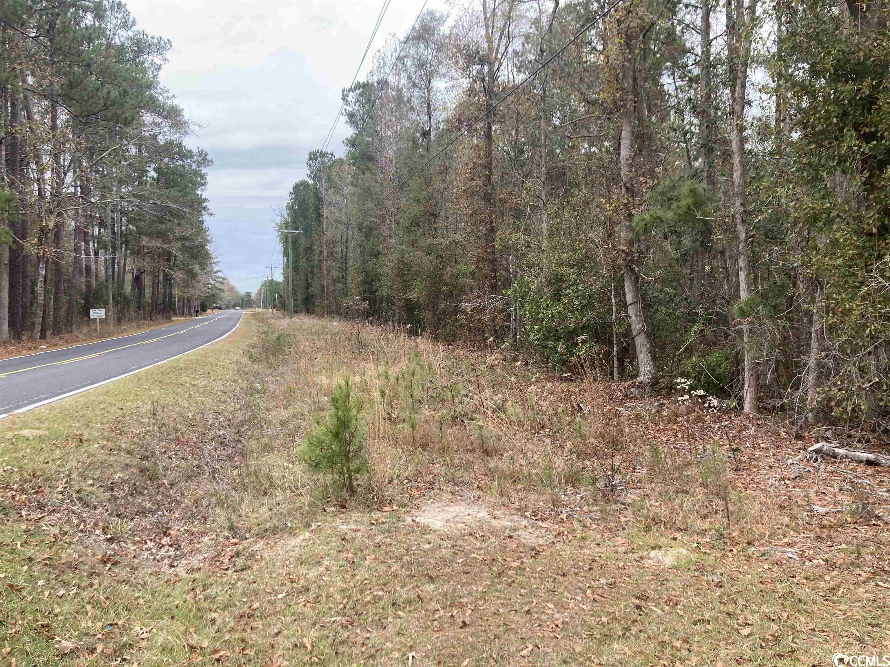 Tbd South Persimmon Ford Road Johnsonville, SC 29555 - Photo 3 of 4