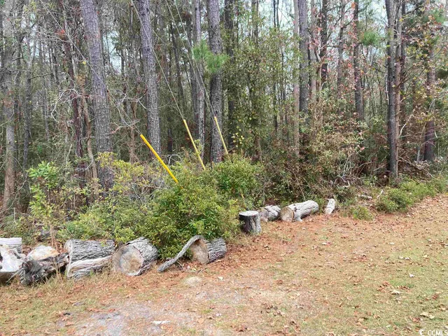 $147,000 | Tbd South Persimmon Ford Road, Johnsonville, SC 29555