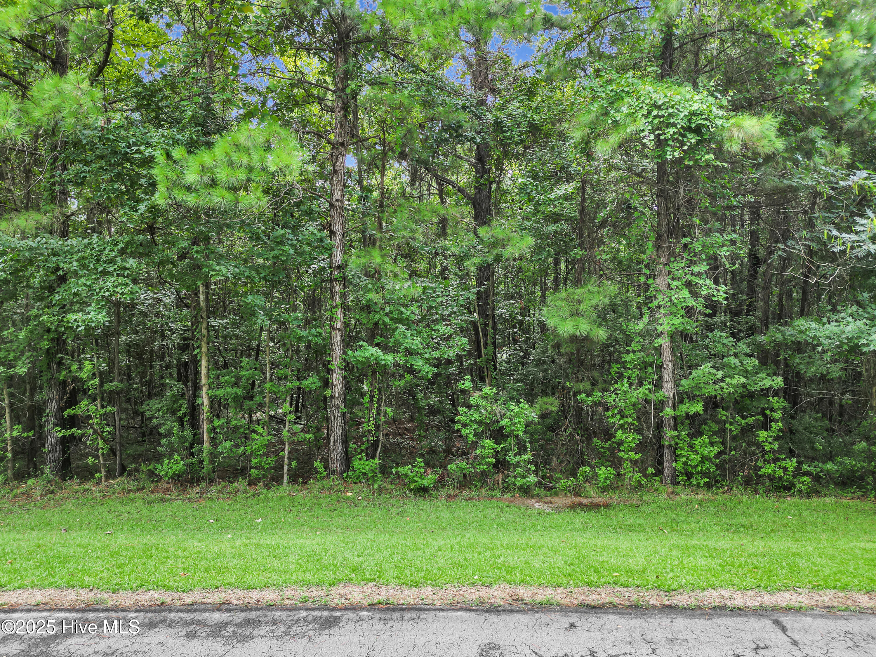 531 Sandy Point Drive Beaufort, NC 28516 - Photo 6 of 21 6