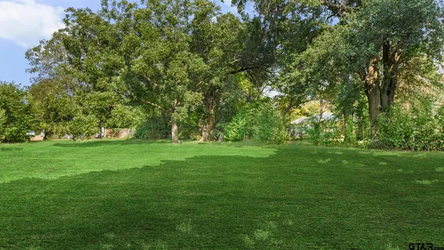 a huge green field with lots of trees