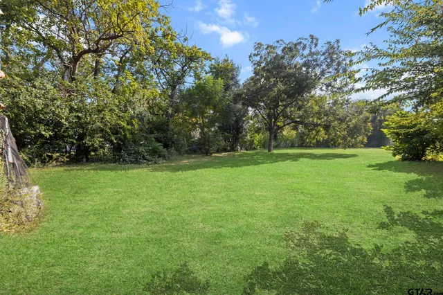 a view of a field with trees in the background