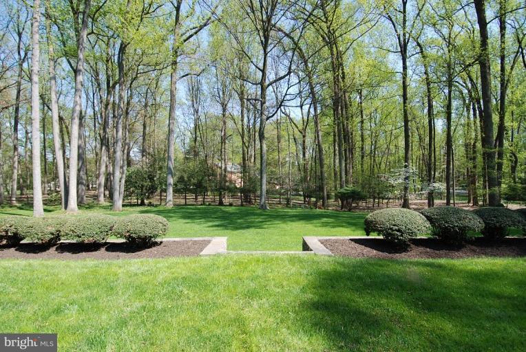 8853 Belmart Road Potomac, MD 20854 - Photo 4 of 8 a backyard of a house with plants and large trees