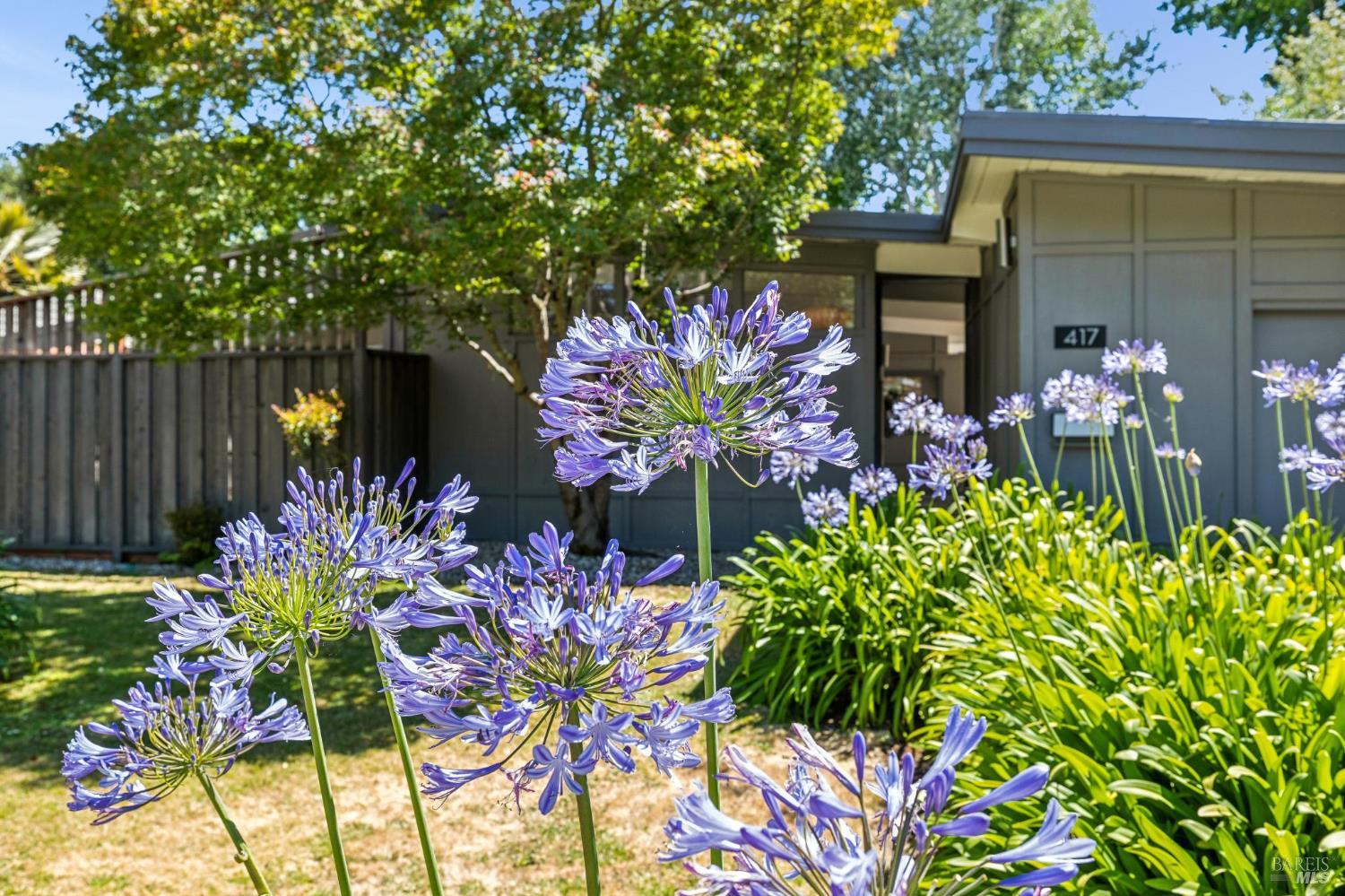 417 Hickory Lane San Rafael, CA 94903 - Photo 11 of 46