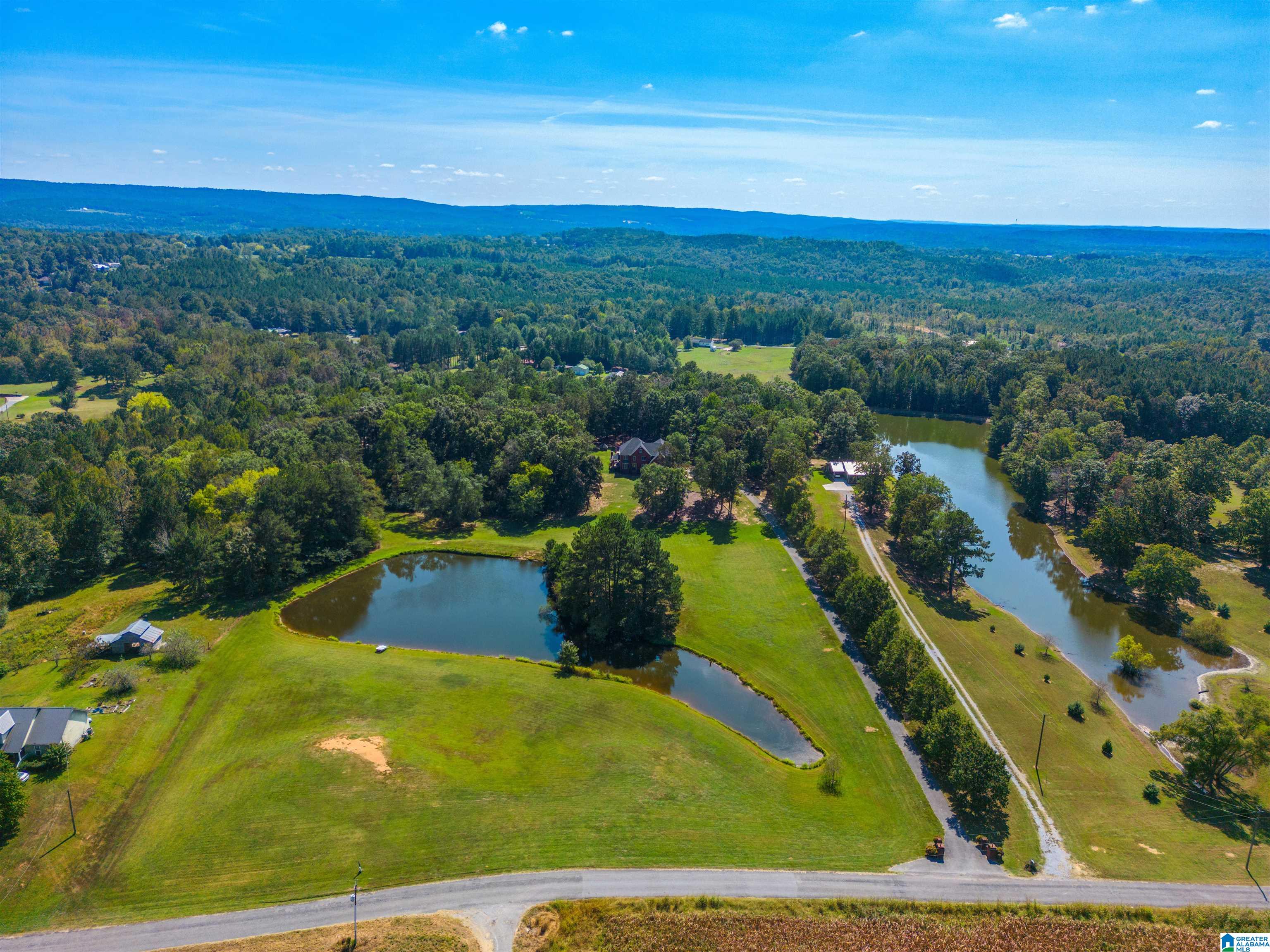532 Greens Chapel Road Cleveland, AL 35049 - Photo 5 of 56