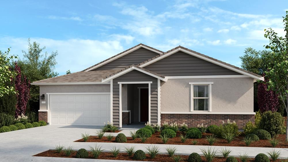 Hadley Rendering
