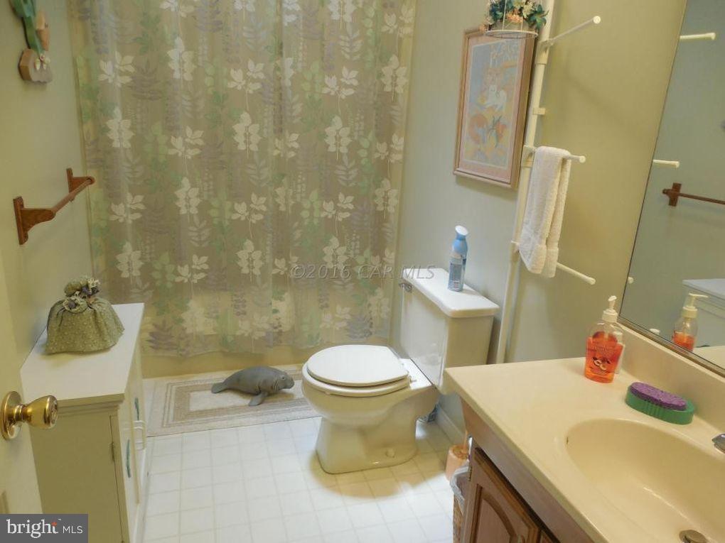 12 Falcon Bridge Road Ocean Pines, MD 21811 - Photo 14 of 21 hall bah