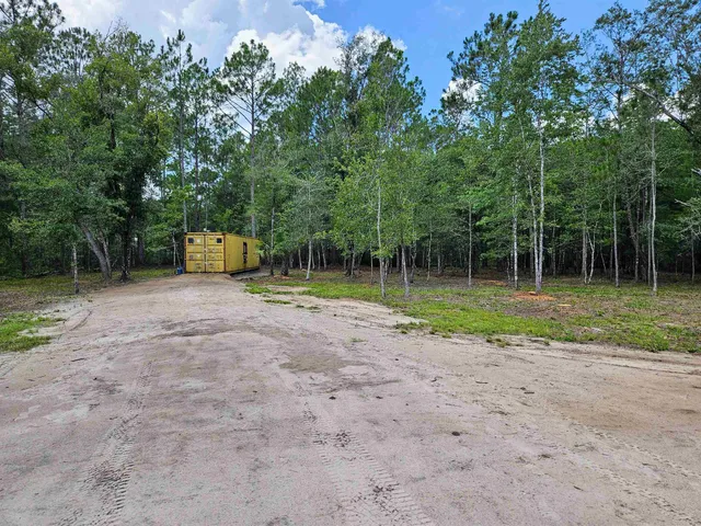 a view of a park with large trees