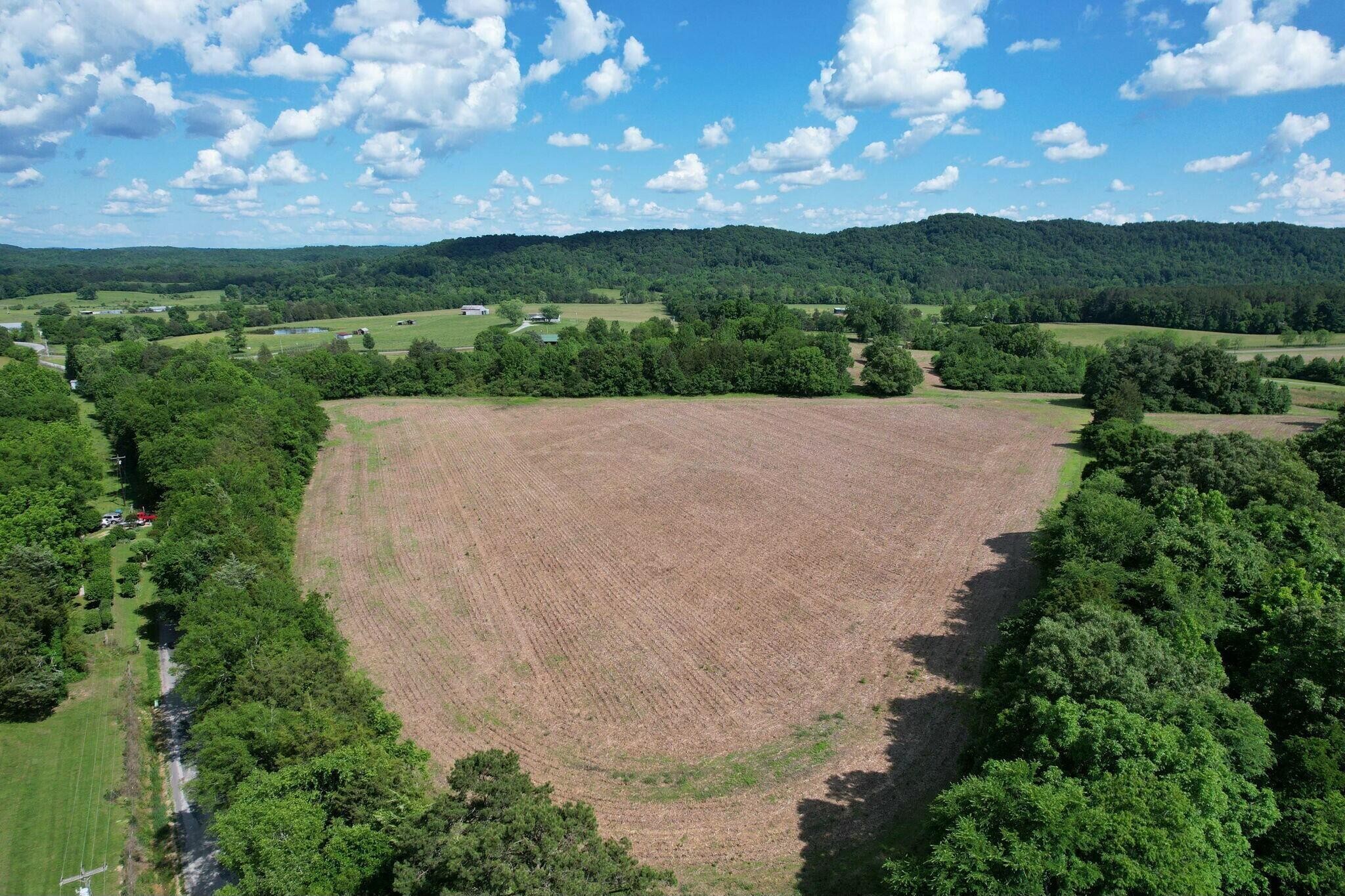 0 Lankford Ridge Road Decatur, TN 37322 - Photo 13 of 14