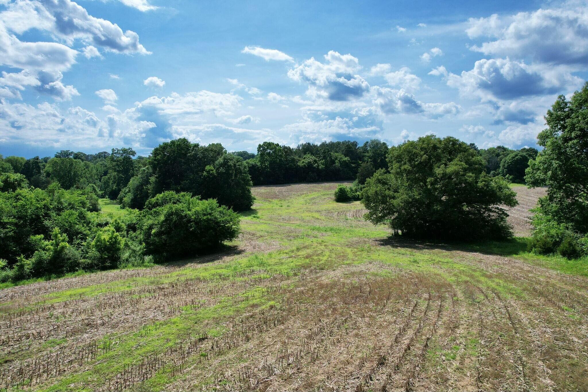 0 Lankford Ridge Road Decatur, TN 37322 - Photo 10 of 14