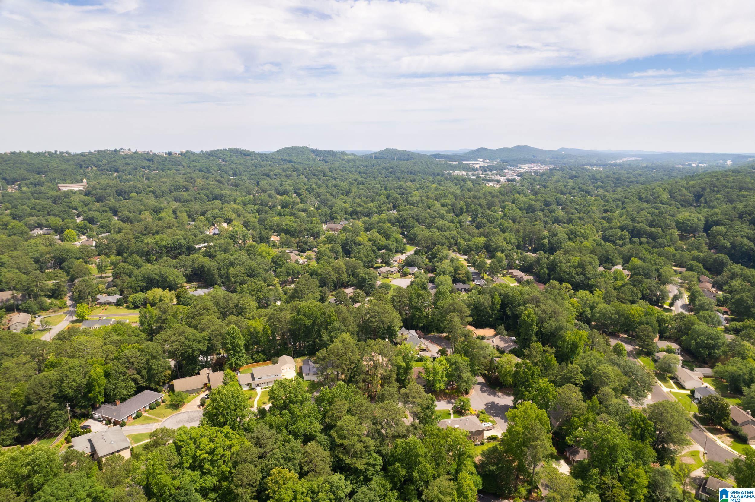 4117 Winston Way Birmingham, AL 35213 - Photo 68 of 69