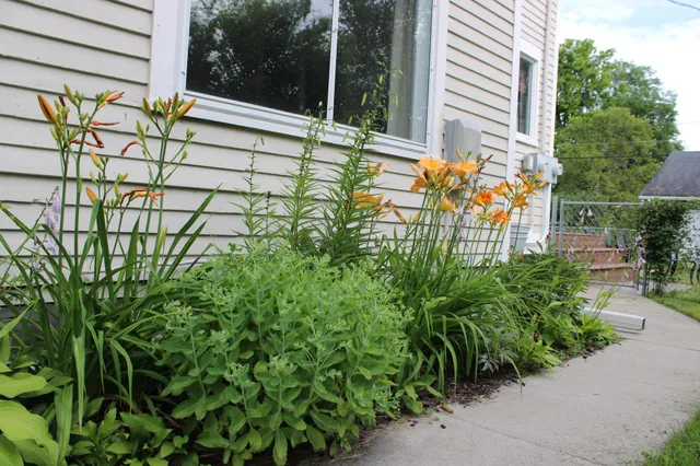 $239,500 | 311 West 7th Street, Morris, MN 56267