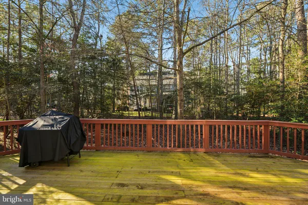 a view of a swimming pool with a couches and trees