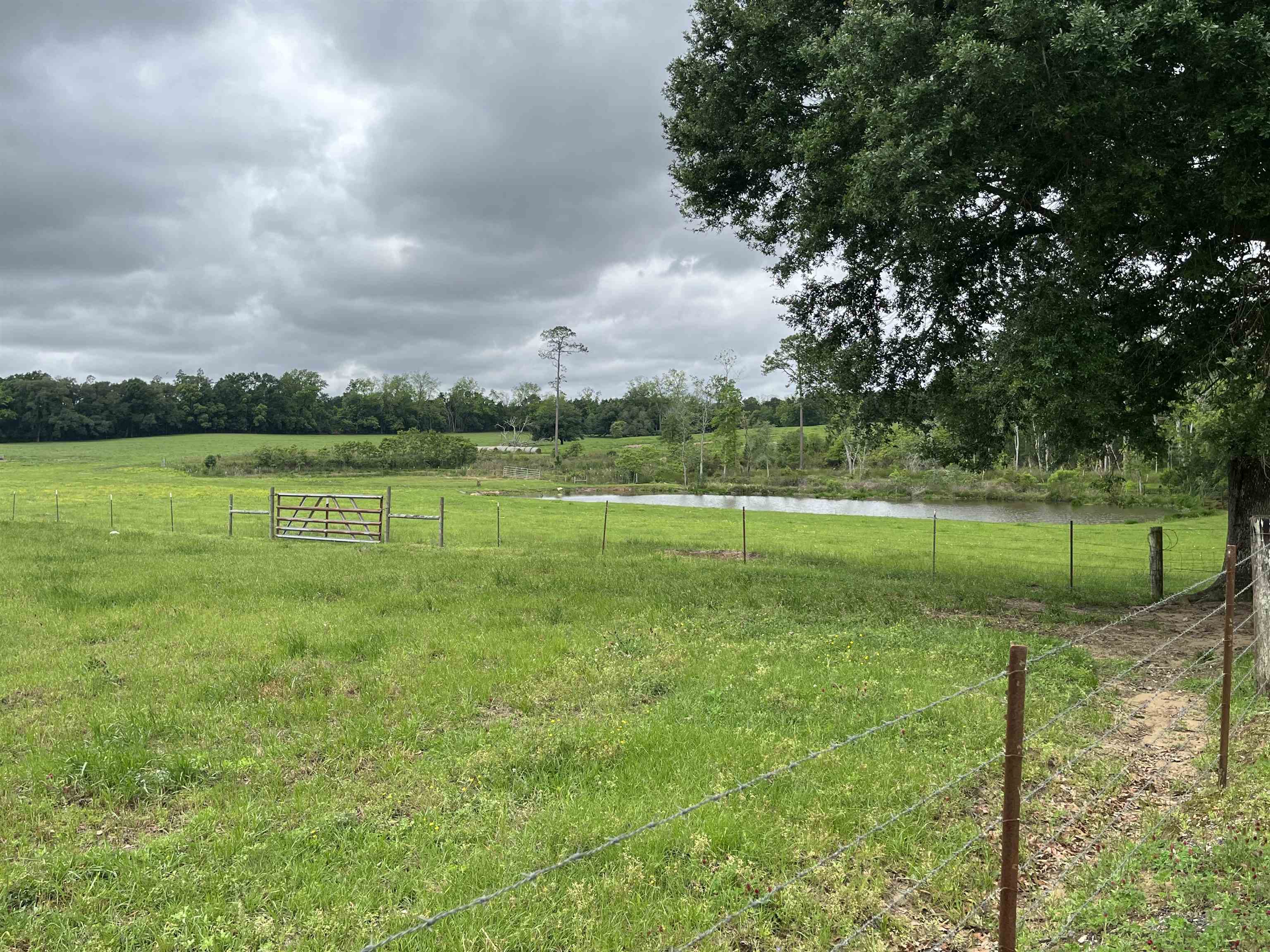 22000 Bengston Road Robertsdale, AL 36567 - Photo 7 of 12