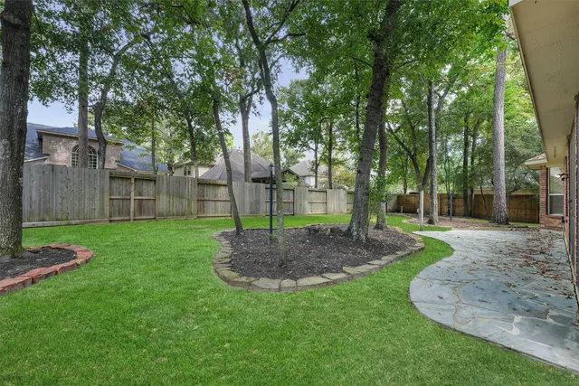 a view of a backyard with tree s